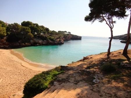 Hébergement de vacances La Perla De *